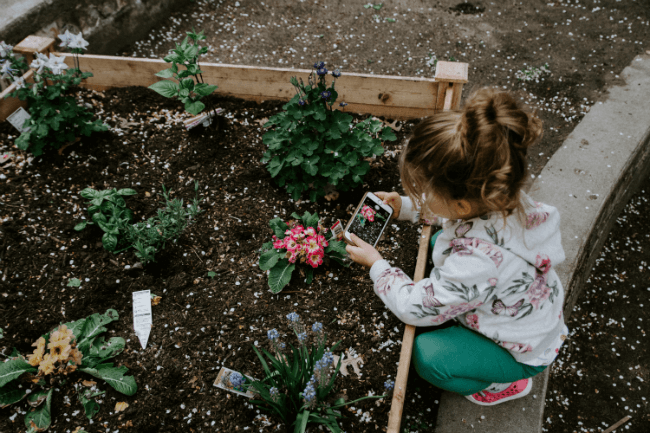 Meisje zaait groente in een moestuinbak