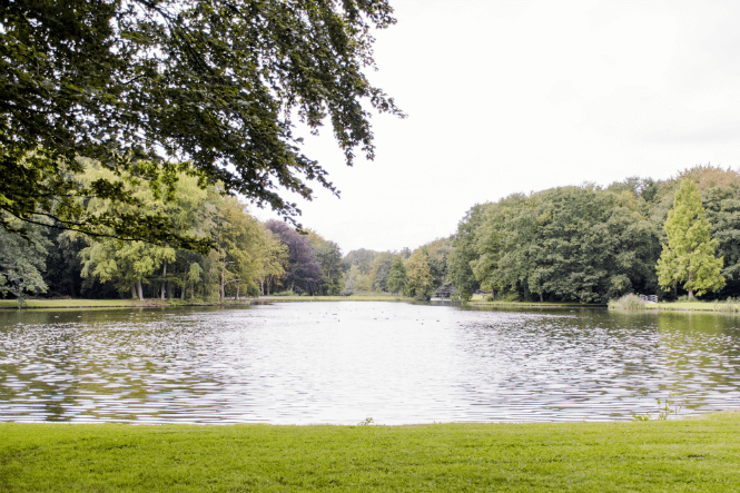 Vijver omringd met bomen.