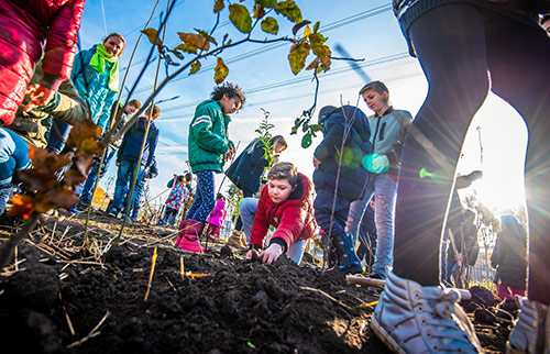 Kinderen planten een Tuiny Forest