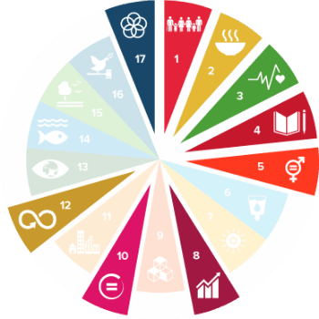 Cirkeldiagram SDG leefbaar loon