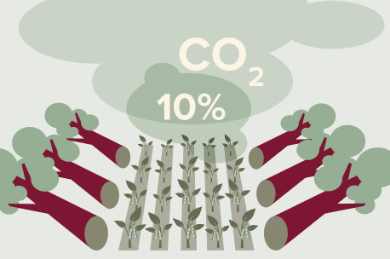 het omzetten van natuurlijke begroeiing in sojalandboud zorgt voor 10% van de wereldwijde co2 uitstoot