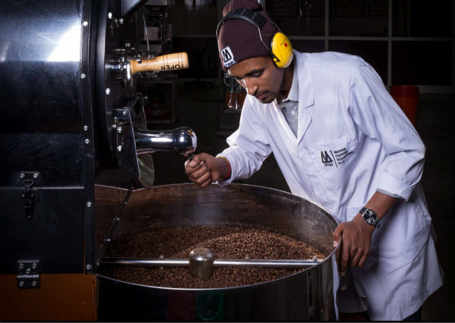 medewerker van Moyee kijkt naar koffiebonen