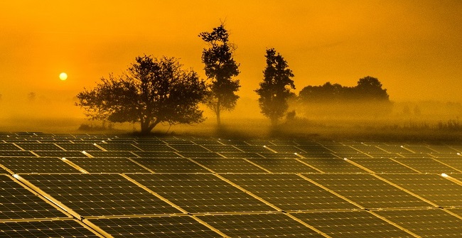 Beleggen in zonnepanelen, maar niet ten koste van mens en natuur