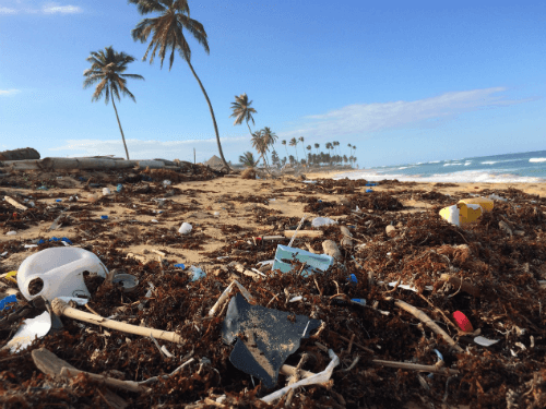 Plasticvervuiling: dit is wat wij eraan doen