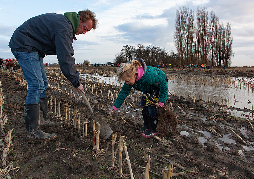 Vader en dochter helpen op ASN Boomplantdag 2015