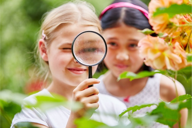 Op safari in je eigen tuin