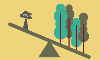 Een weegschaal met aan de linkerkant een illustratie van CO2 en aan de rechterkant een illustratie van vier bomen, de rechterkant weegt zwaarder