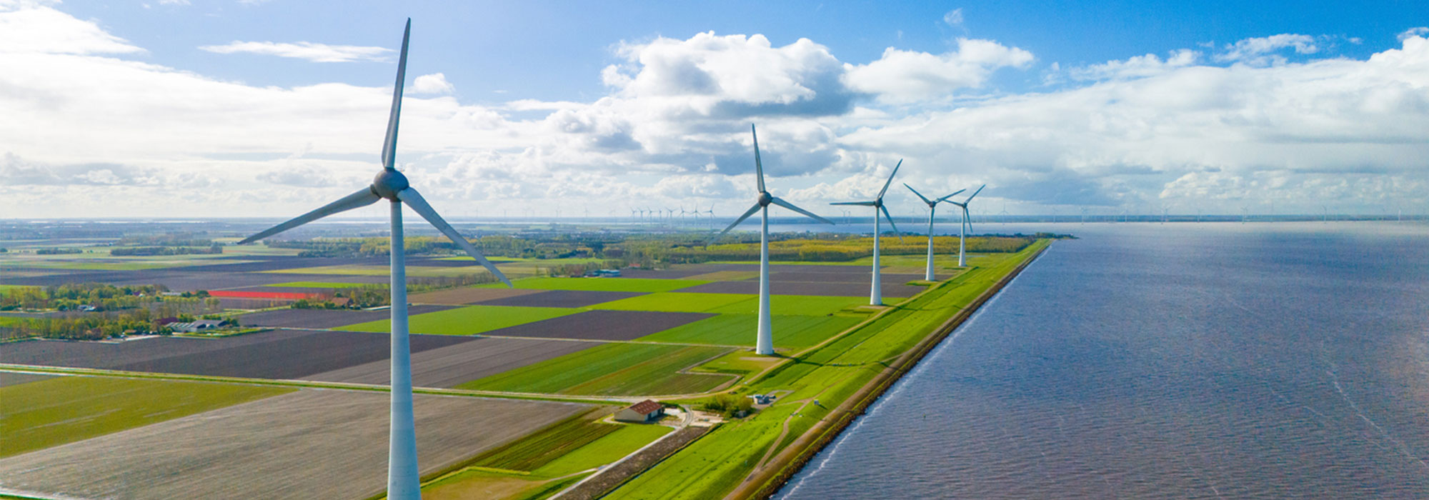 Tegenwind getrotseerd: Windpark Goyerbrug mag eindelijk bouwen