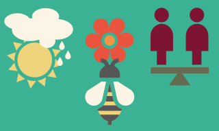 Drie illustraties: een zon met een wolk met regen erboven, een bij en een bloem, en twee personen op een weegschaal