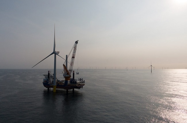 Zeeuws windmolenpark goed voor groene stroom én oesters