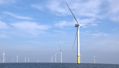 Zo werkt jouw geld aan meer leven in de Noordzee
