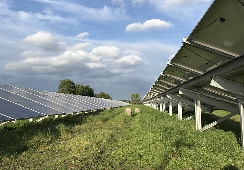 Zo wordt je geld aan het werk gezet in dit zonnepark 